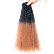 Synthetic Hair Kinky Straight Ombre Color Clips-in Hair | JYL HAIR